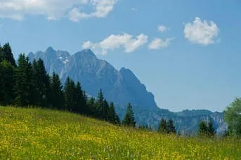 Sommer Bild 35