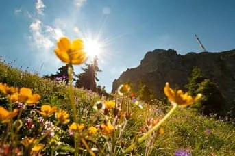 Sommer Bild 28