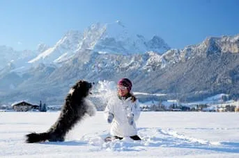 Winter Bild 1