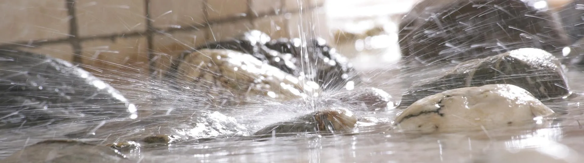 Das Wasser pl&auml;tschert beruhigend auf die Steine