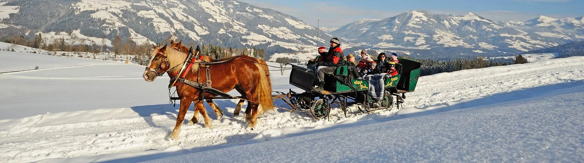 Pferdeschlittenfahrten in der Region der Kitzbühler Alpen