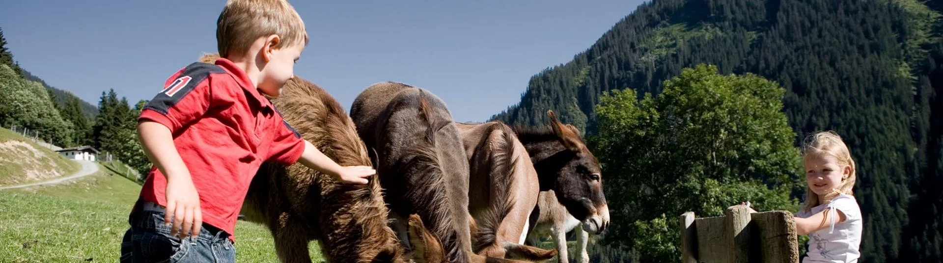 Kinder k&ouml;nnen die Tiere hautnah erleben