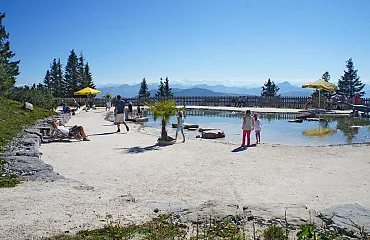 Traumhafte Aussichten. Der Triassic Park begeistert Jung und Alt!